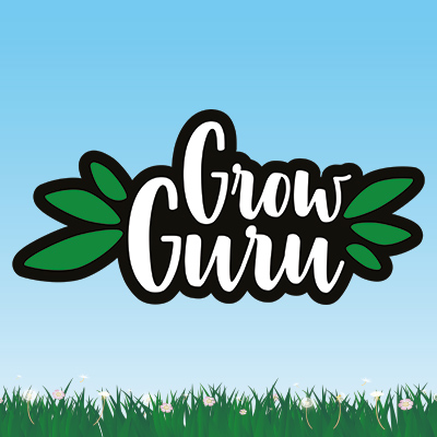 Grow-Guru Logo